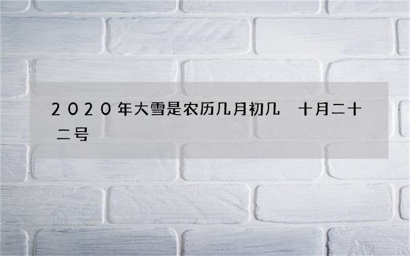 2020年大雪是农历几月初几 十月二十二号